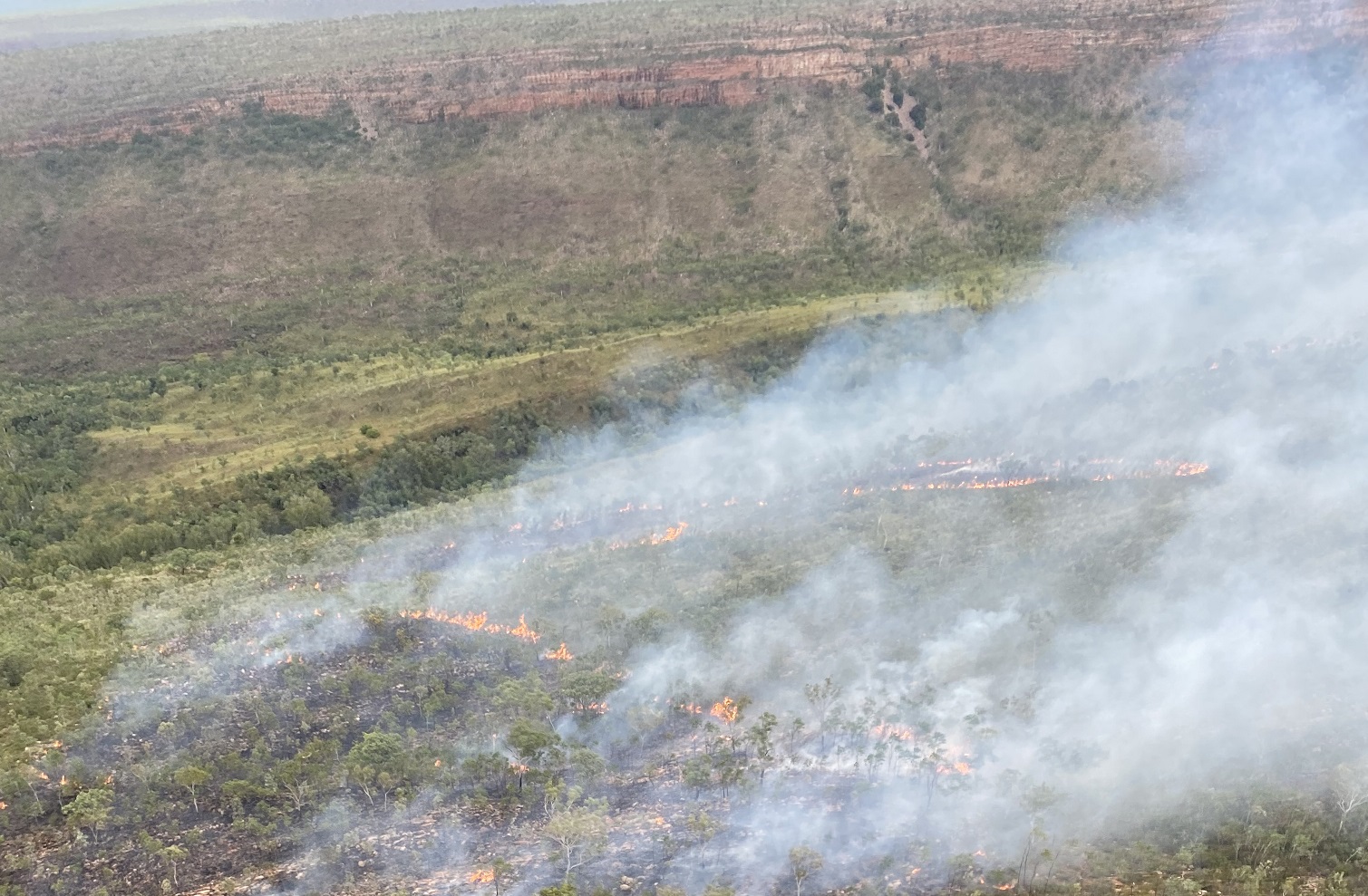 If this is how the vegetation burns in the middle of the wet season, we do not want extensive wildfire here after a few months of dry weather!