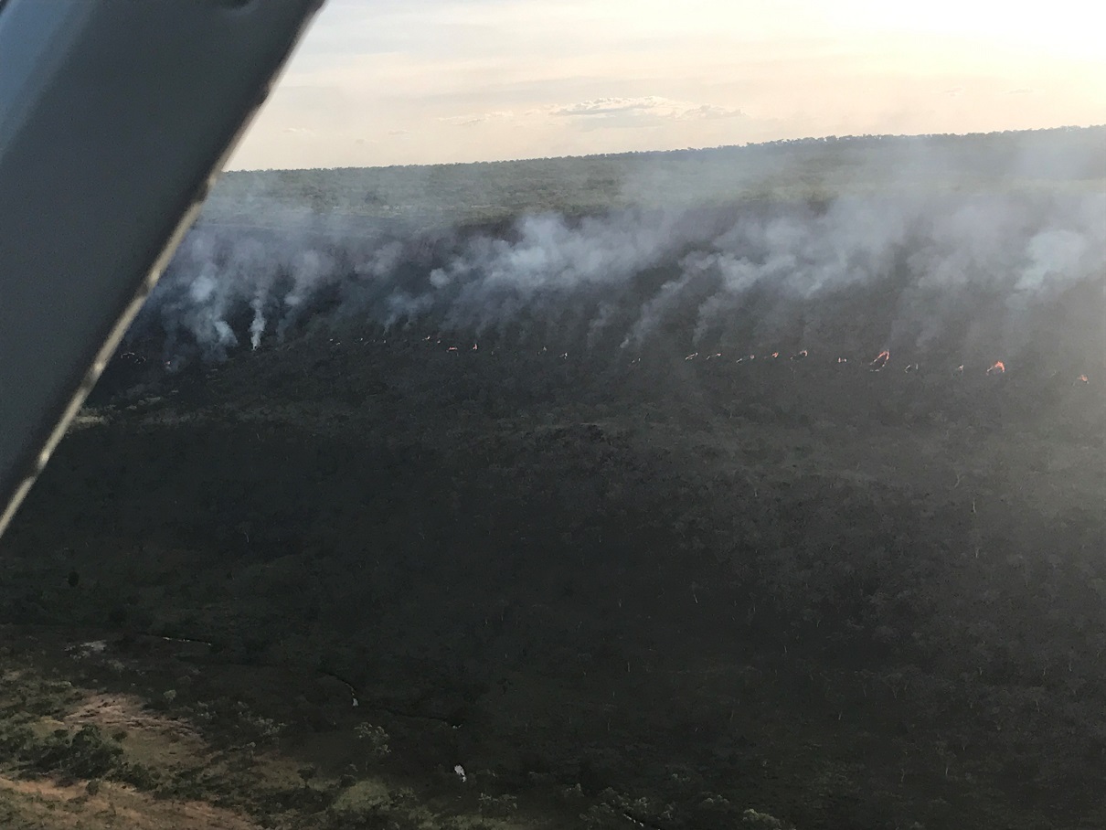 Without sufficient herbivores to keep vegetation healthy, we grudgingly resort to the use of fire to mitigate the effects of late dry-season wildfire