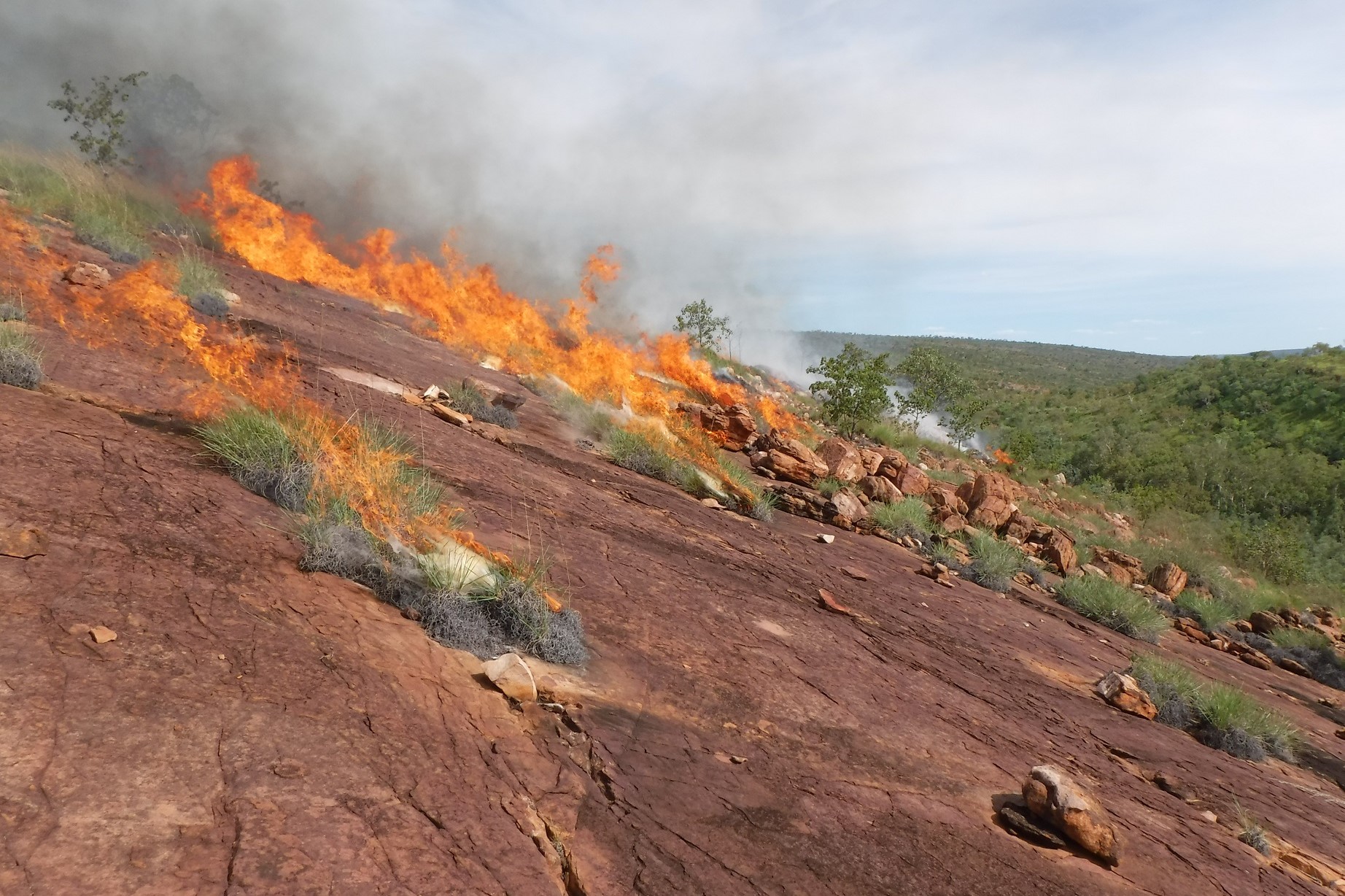 Where possible we work with existing fire-breaks