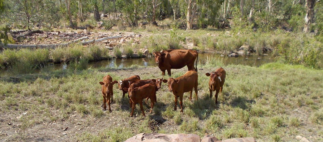 Delia’s turn to baby-sit