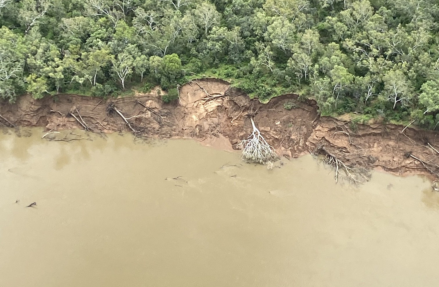 When soil erodes, so does biodiversity and productive capacity 