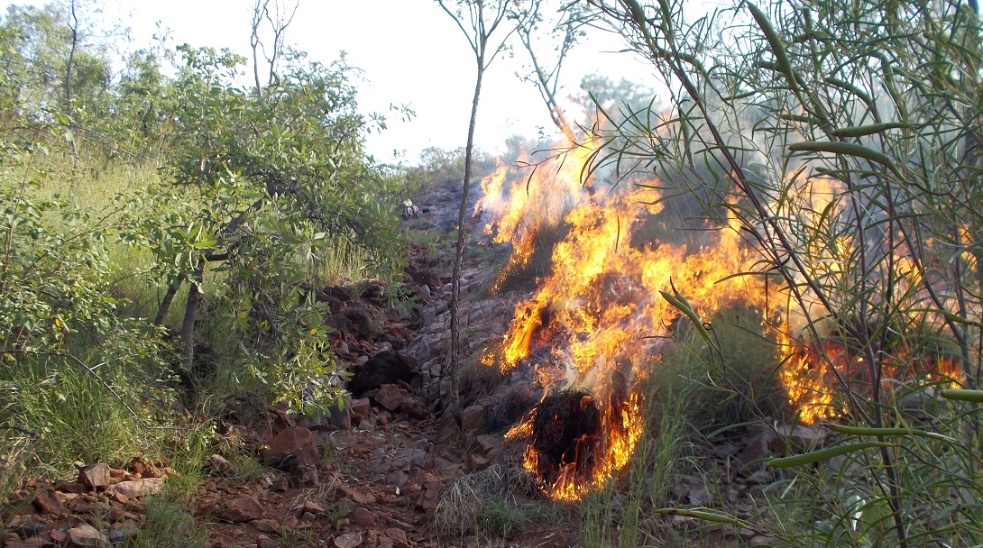 Firebreak time of the year again