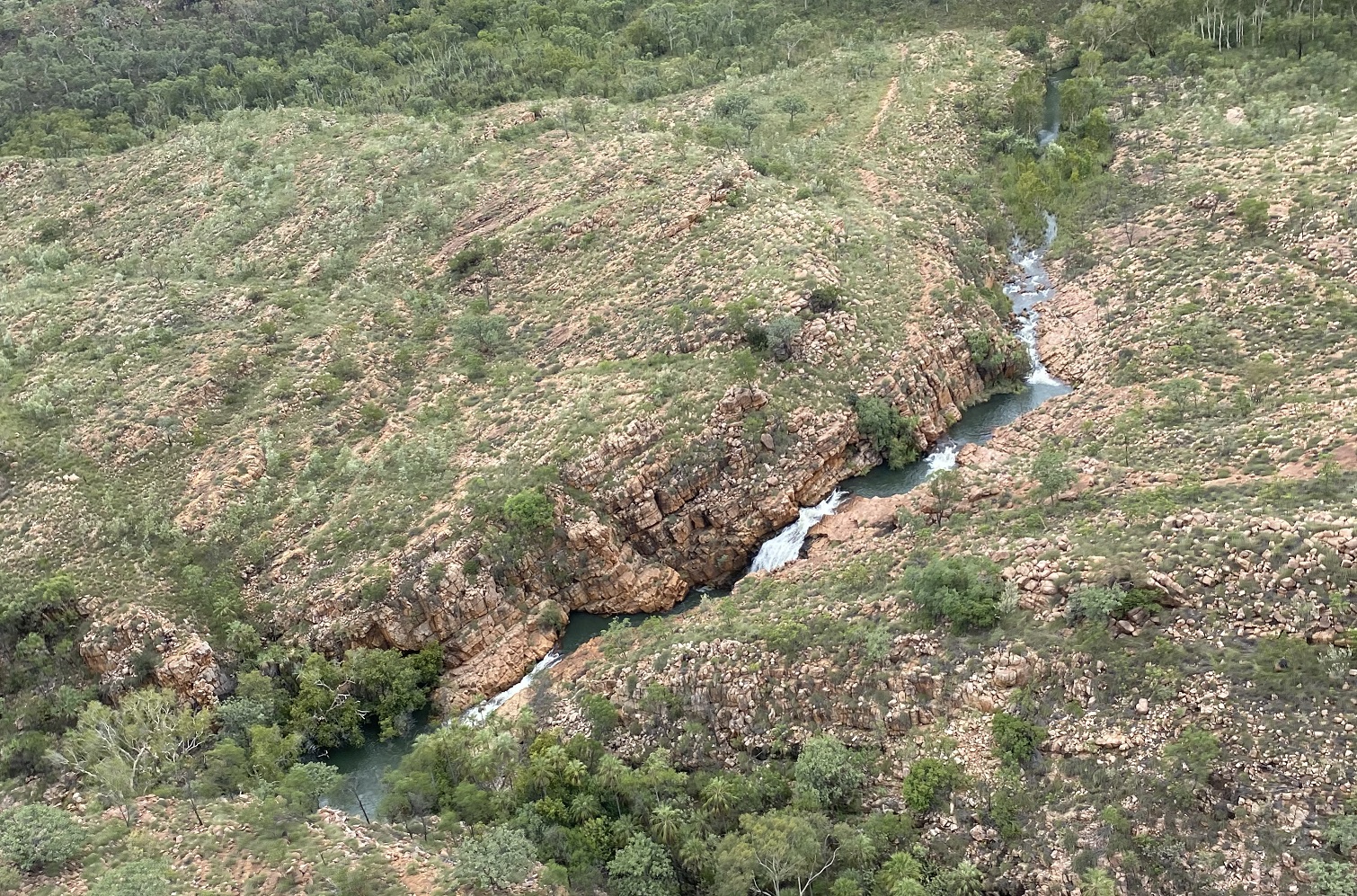 Water draining out of ‘Farm-Valley’ is clean this year, as is the case when we succeed in keeping out wildfire. One day, with managed large herbivores, we hope to rebuild wildfire-proof sponges in the valley base.