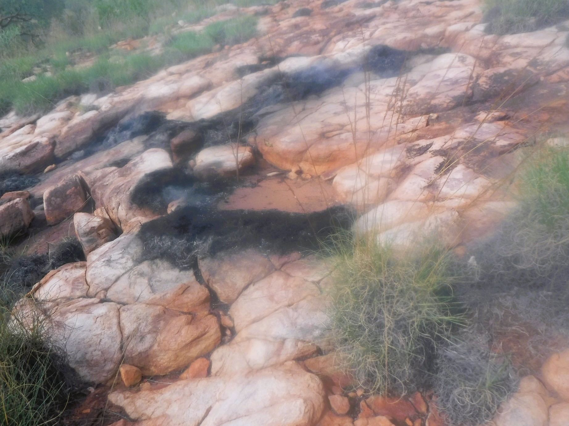 Step-diffusion not only prevents erosion, it captures eroding materials - however fire (as in this case) may destroy the structure holding steps in place – destruction is now destined to be completed by wind, rain or animal-impact – the “harvest” of fire 