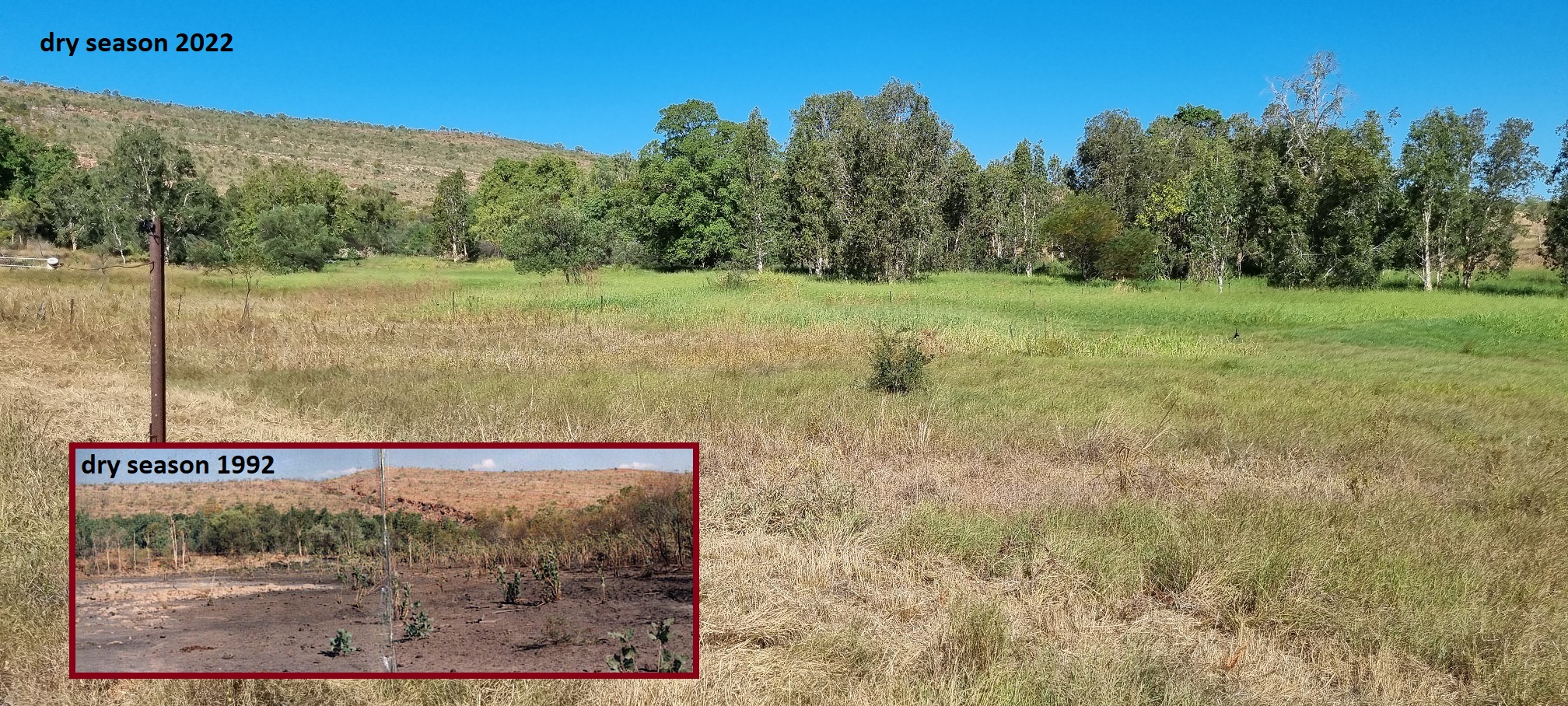 Healthy soil and vegetation, like skin and clothing, protects against the elements