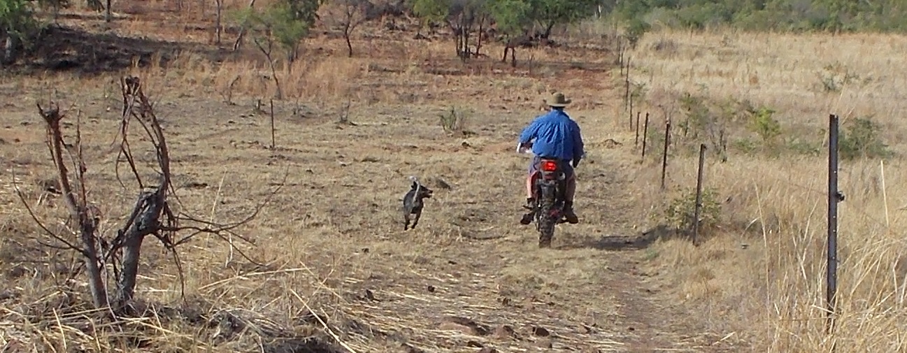 Bob and Taxi on a mission