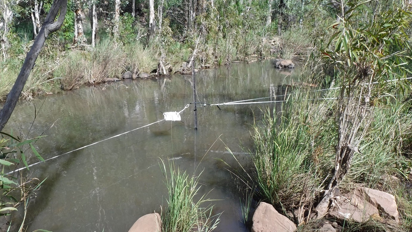 Fresh flowing water - This is the sort of watering-trough that we like best.