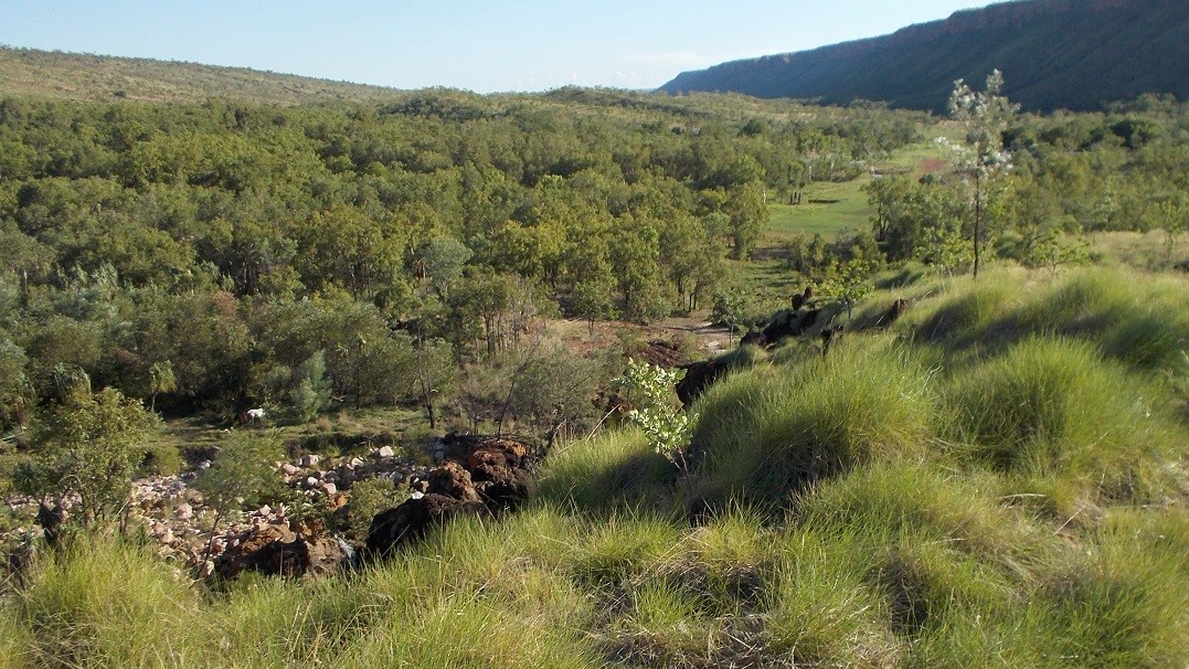 Looking South towards the camp