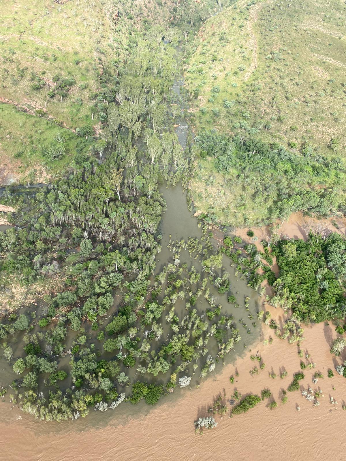 Downstream – Where Cleanskin Creek joins the Chamberlain River