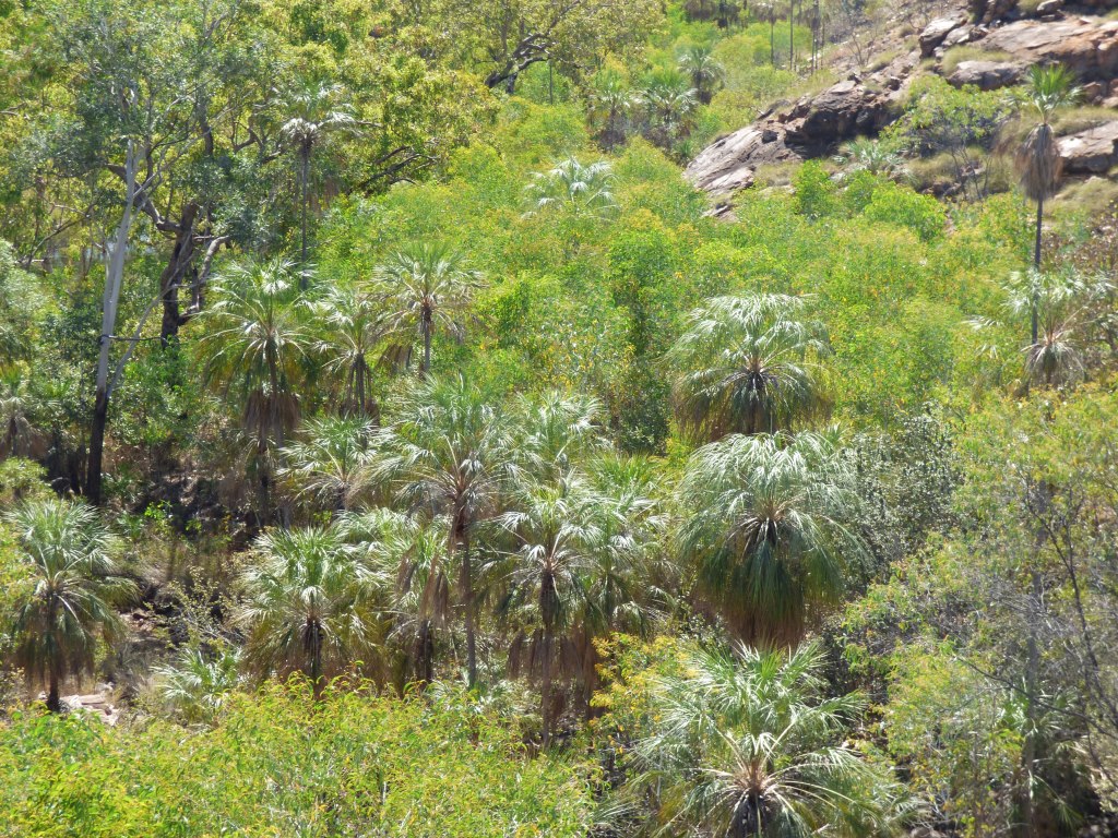 Looking into Farm Valley