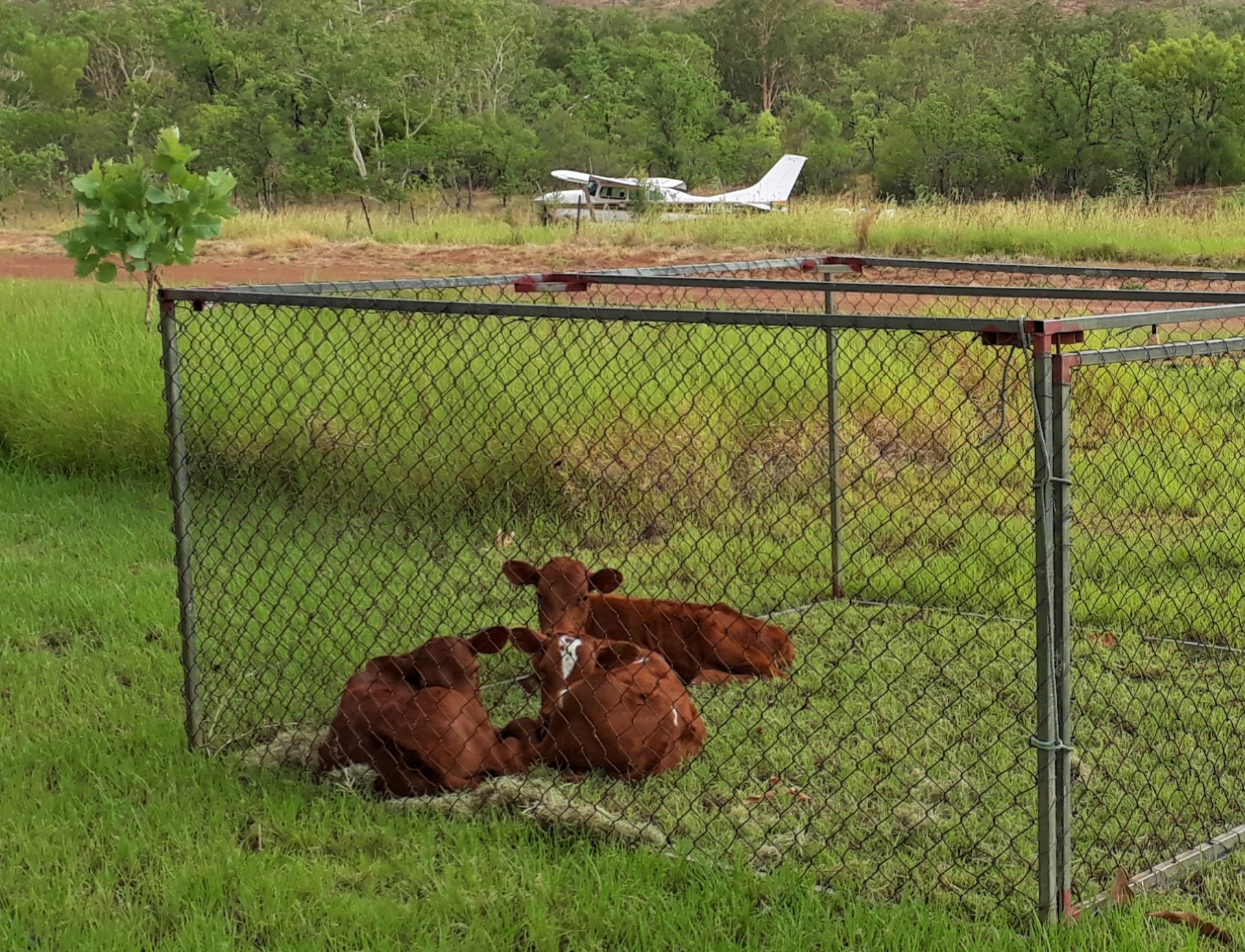 Even lawn-mowers need to rest