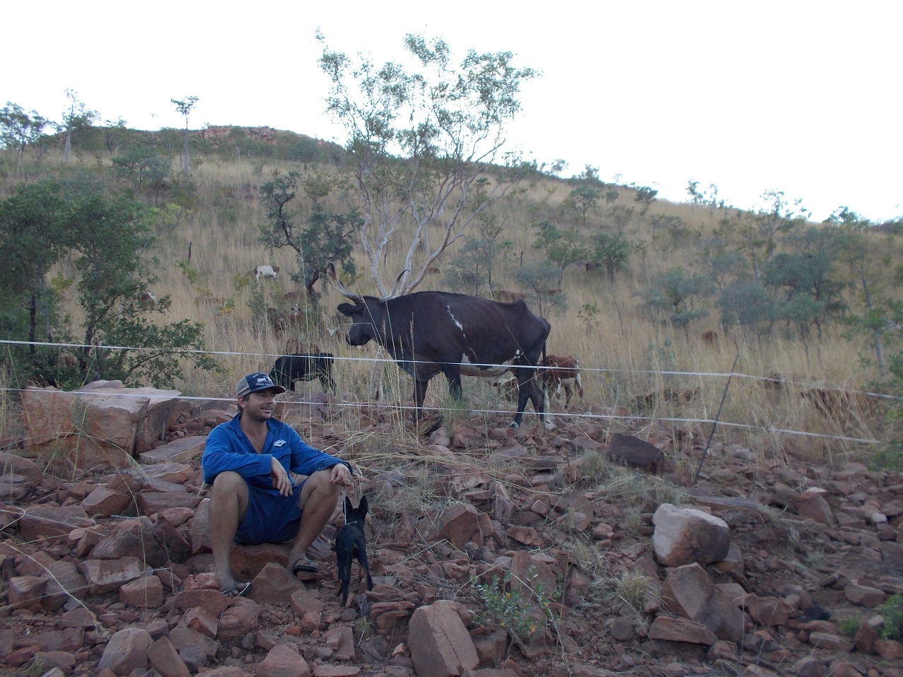 Middle-level management get to spend the night in the Millennium Project