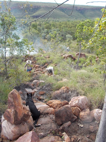 The time of year to make fire-breaks