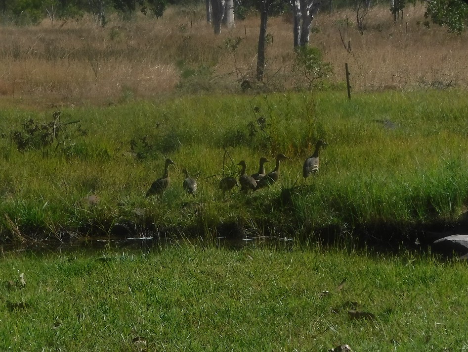 More visitors to the camp