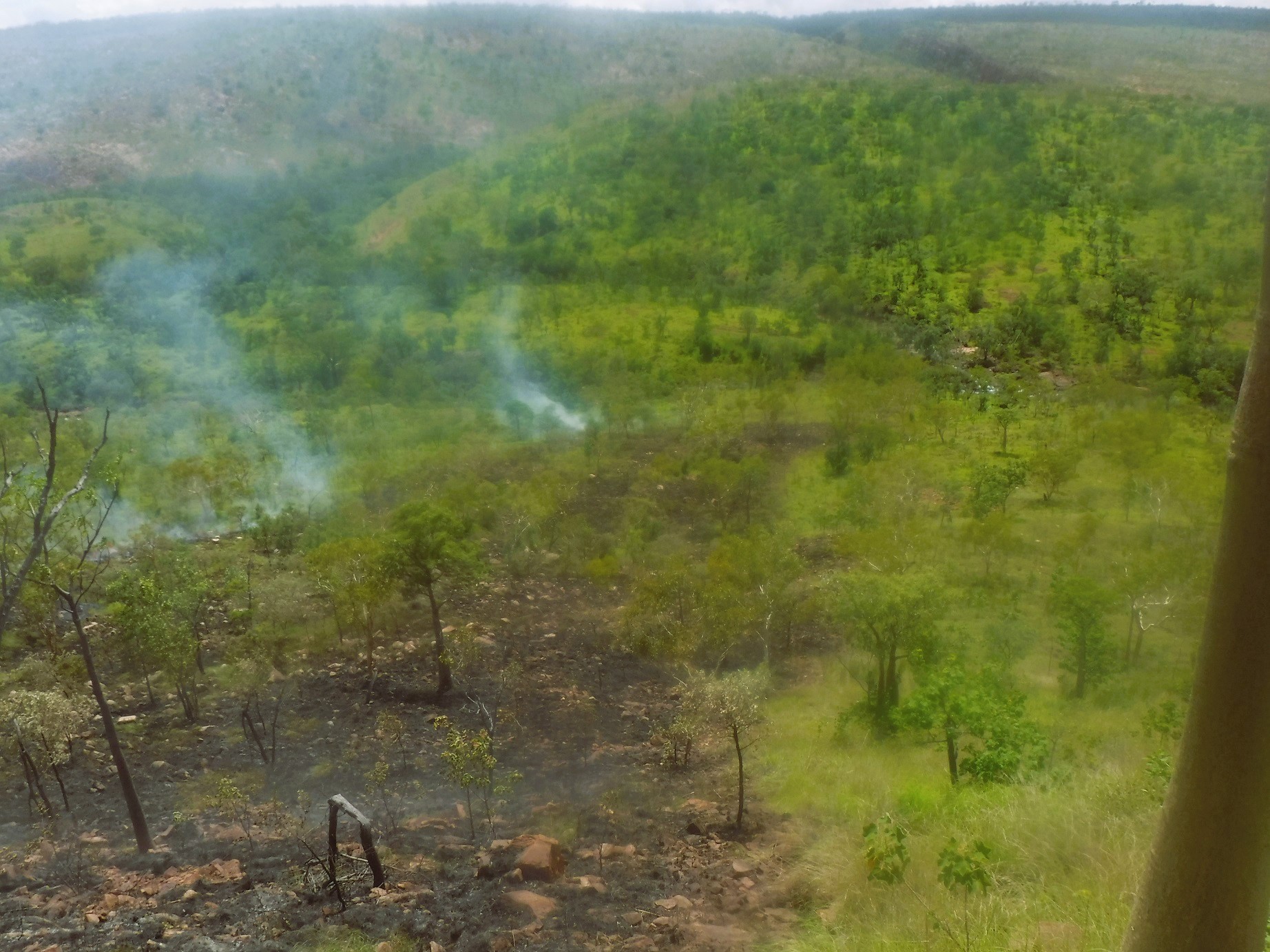 In the absence of sufficient herbivores, we only have fire to manage fuel loads in this terrain