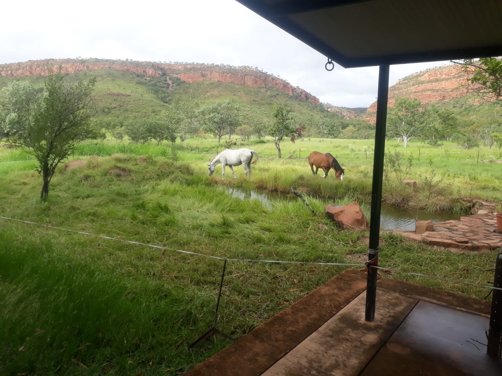 Solar-powered lawn-mowers at work in the garden