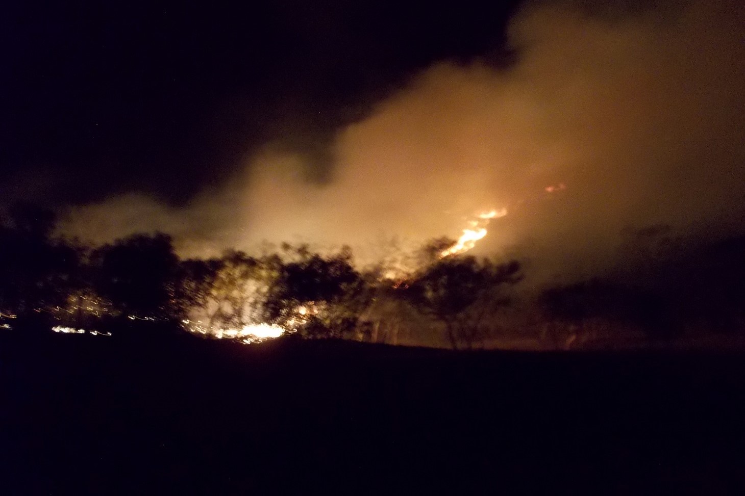 Fire fronts are easier to identify at night