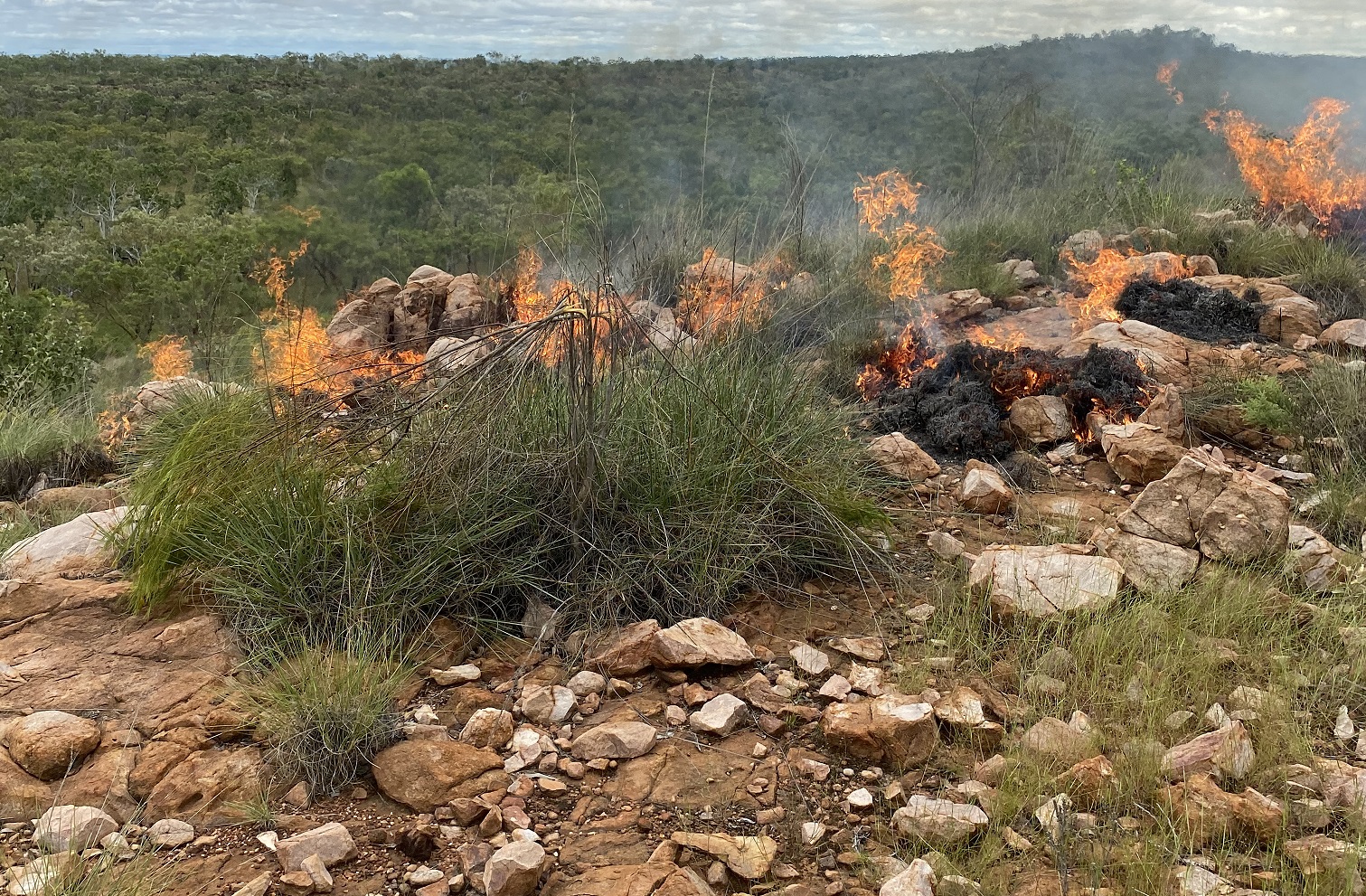 Rather than conducting incendiary runs with the aircraft, when it is convenient, we prefer to light up from the ground – Fire can then be more of a precision -tool.