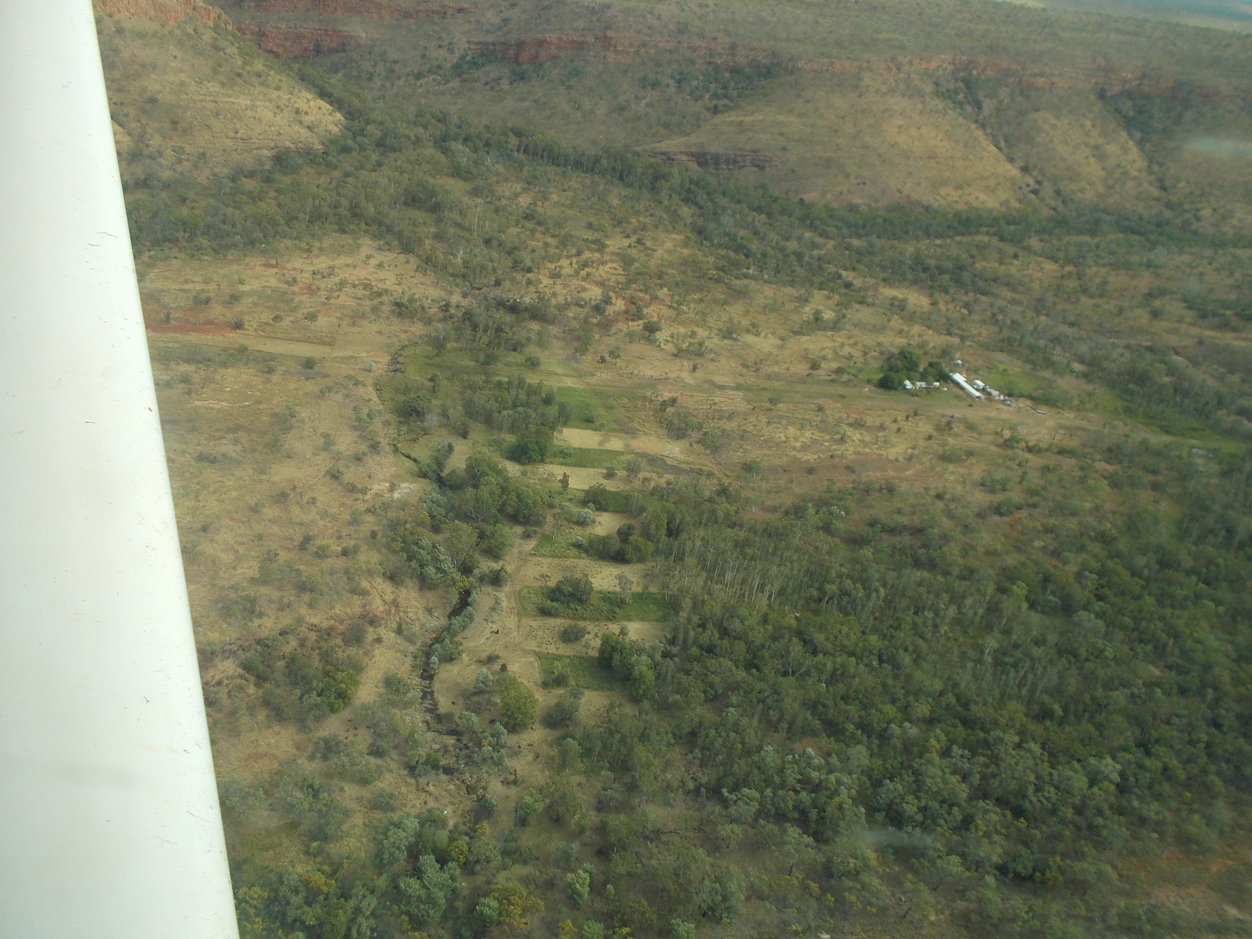 In those areas that we can afford to manage, “Mosaic Grazing” is a method we use to improve diversity