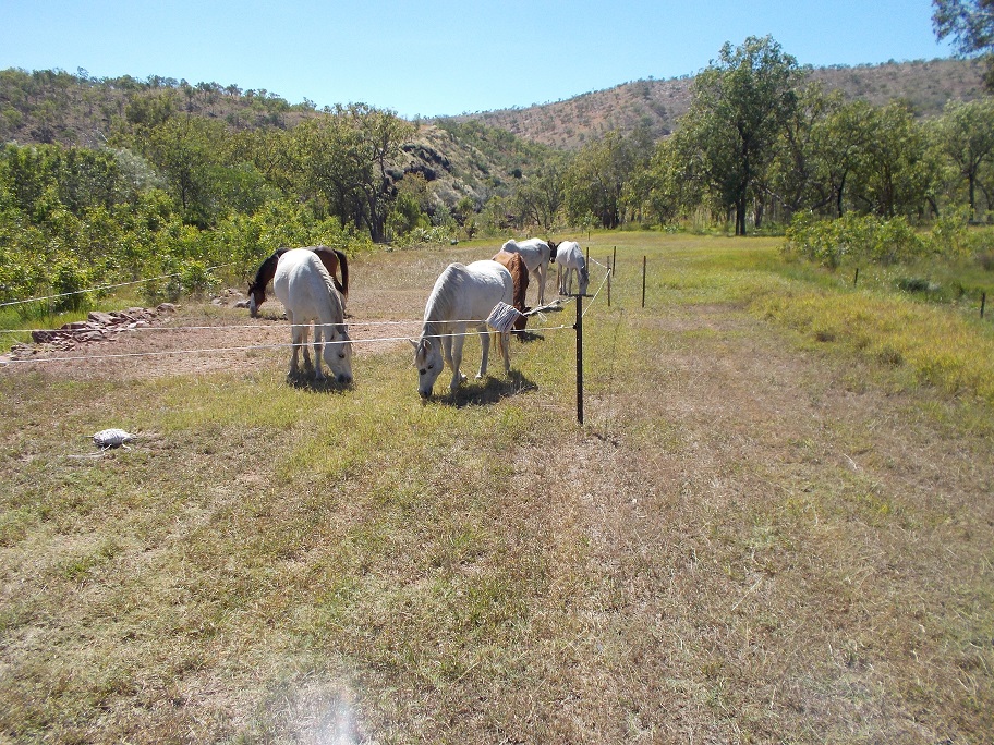 Mowing the turning circle at the end of the airstrip