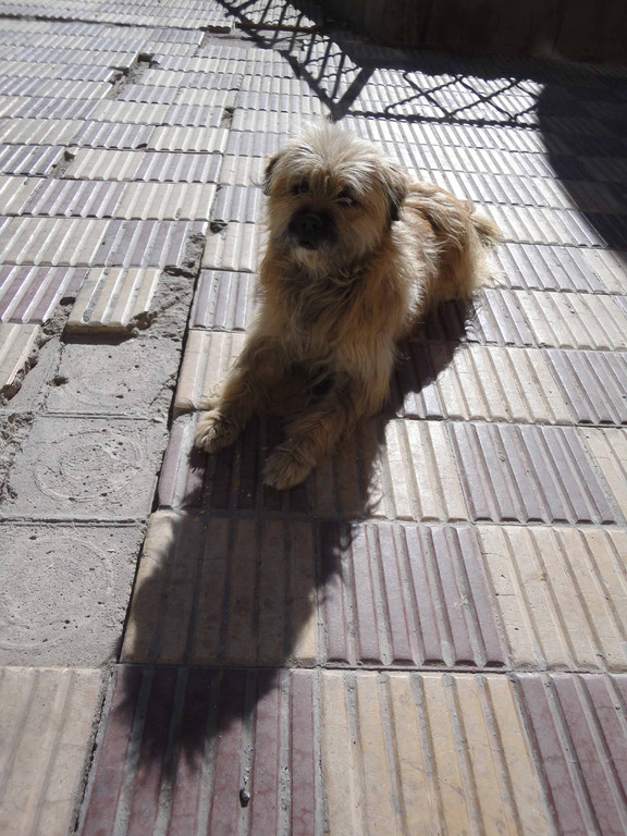 Uyuni