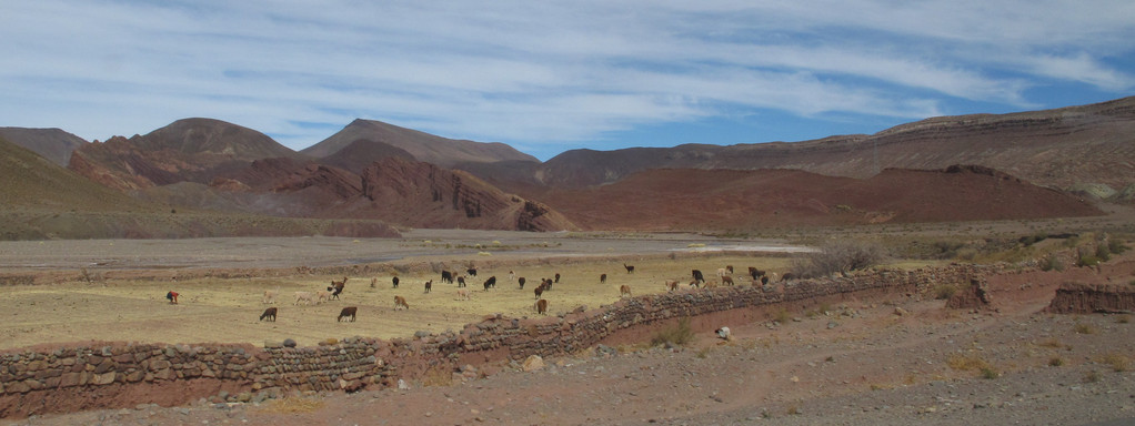 Fahrt nach Uyuni