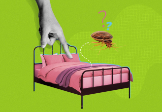 Attention aux punaises de lit