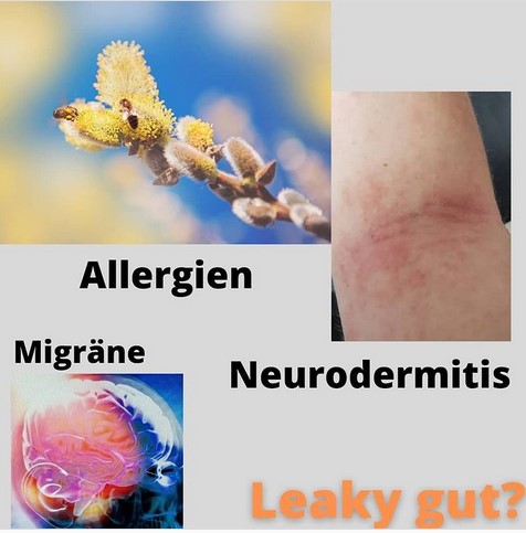 Leaky-Gut