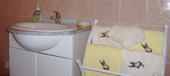 La salle de bain adjacente