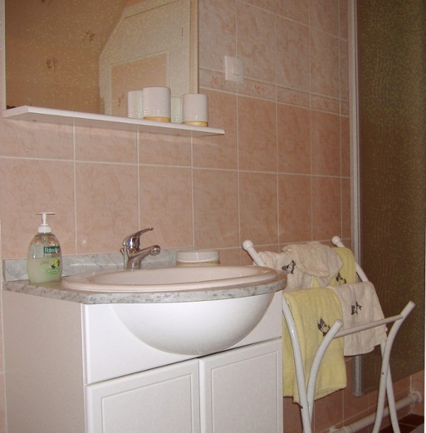 La salle de bain adjacente