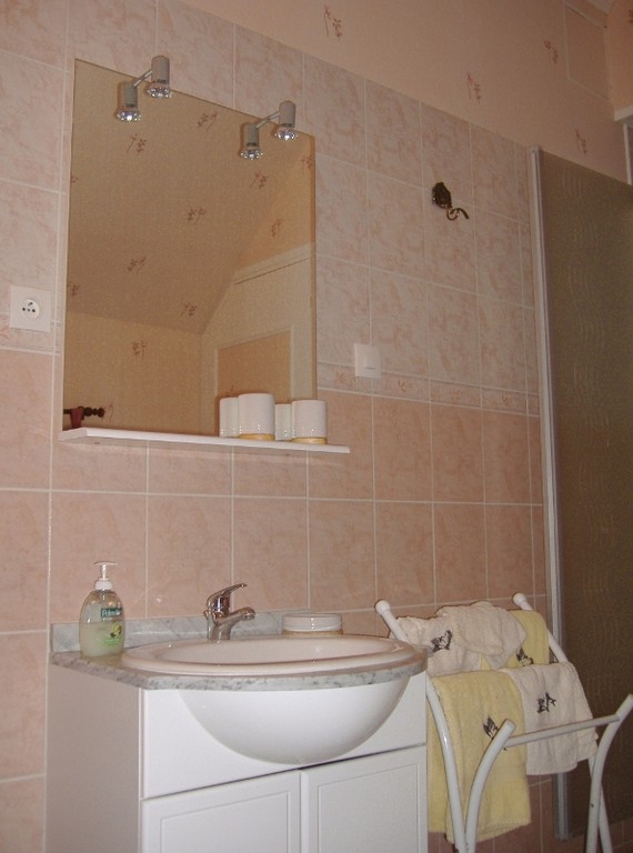 La salle de bain adjacente