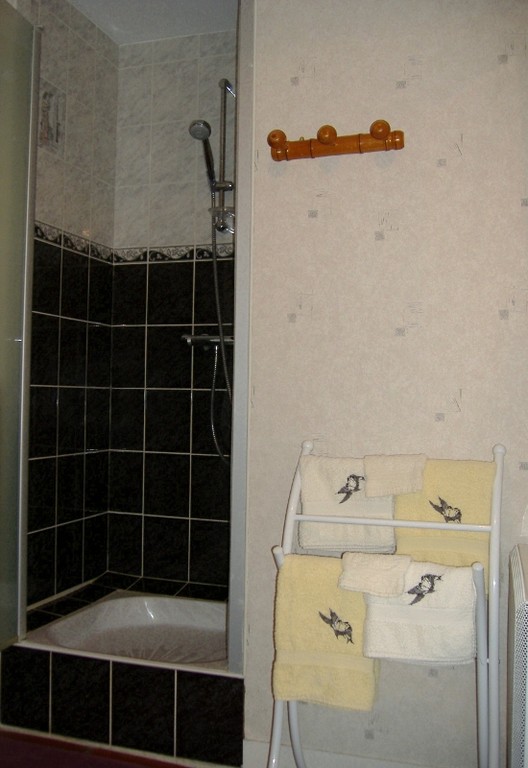 La salle de bain adjacente