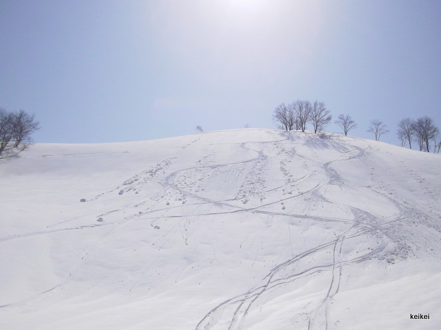 シャルマン火打　放山