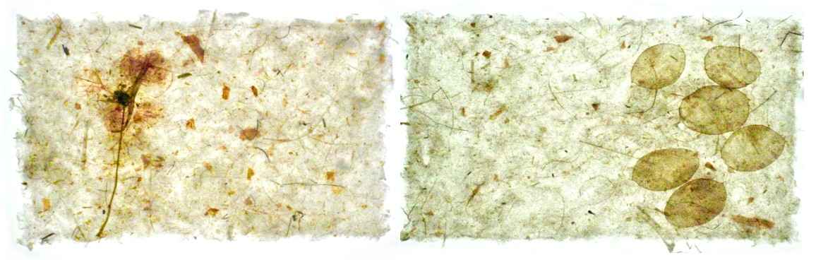 Papierarbeit von Doris Arndt