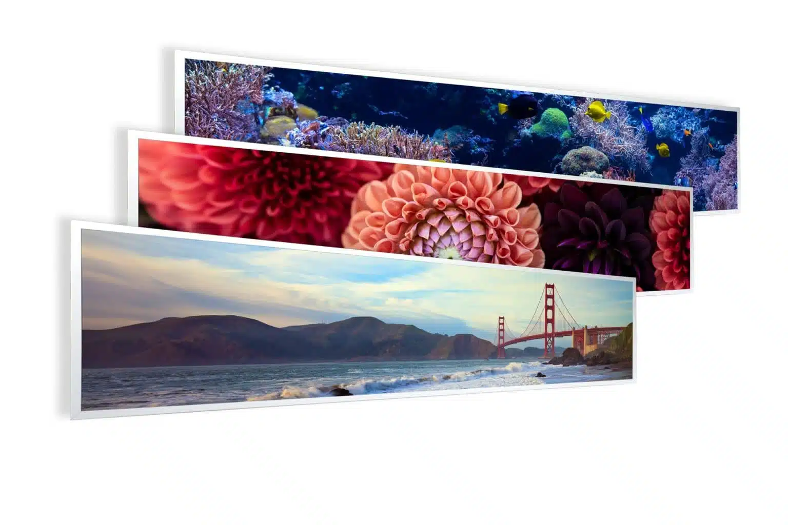 Panorama Serie