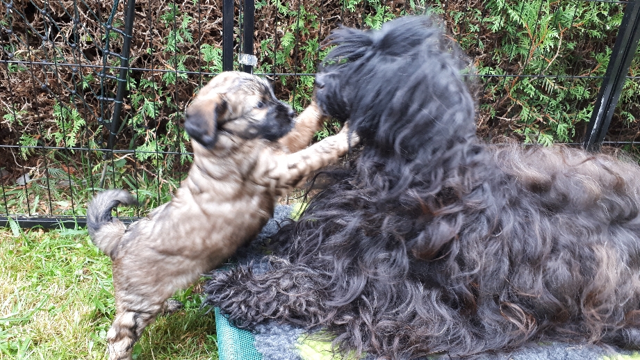 Baghini und Mama Nele