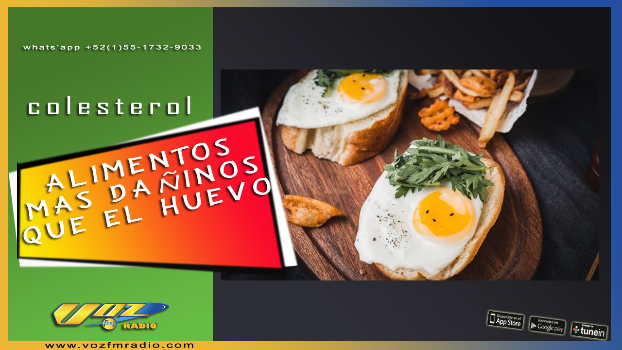 Estos Alimentos Son Daninos Y Tienen Mas Colesterol Que El Huevo Elliotsaenz