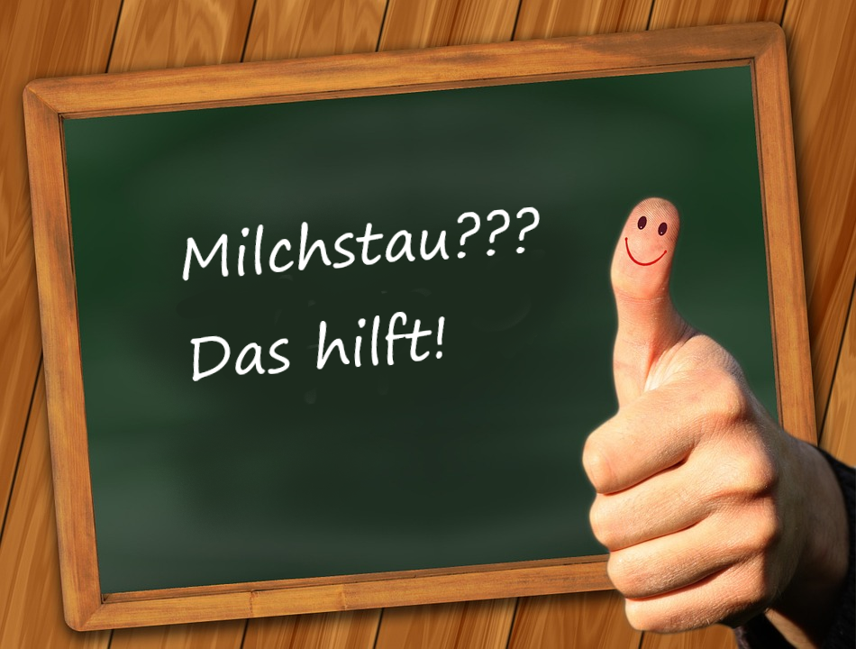 Problem:  Milchstau