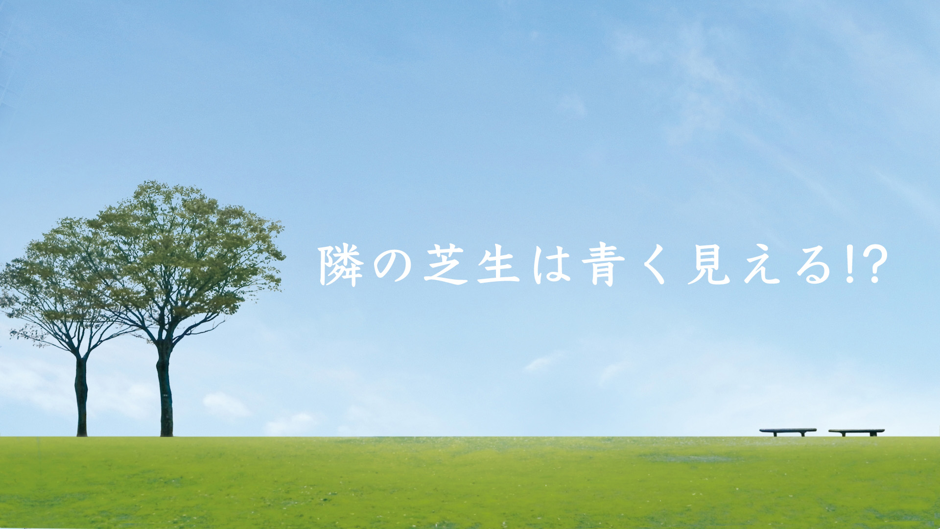 隣の芝生は青く見える!? - 大阪公立大学校友会