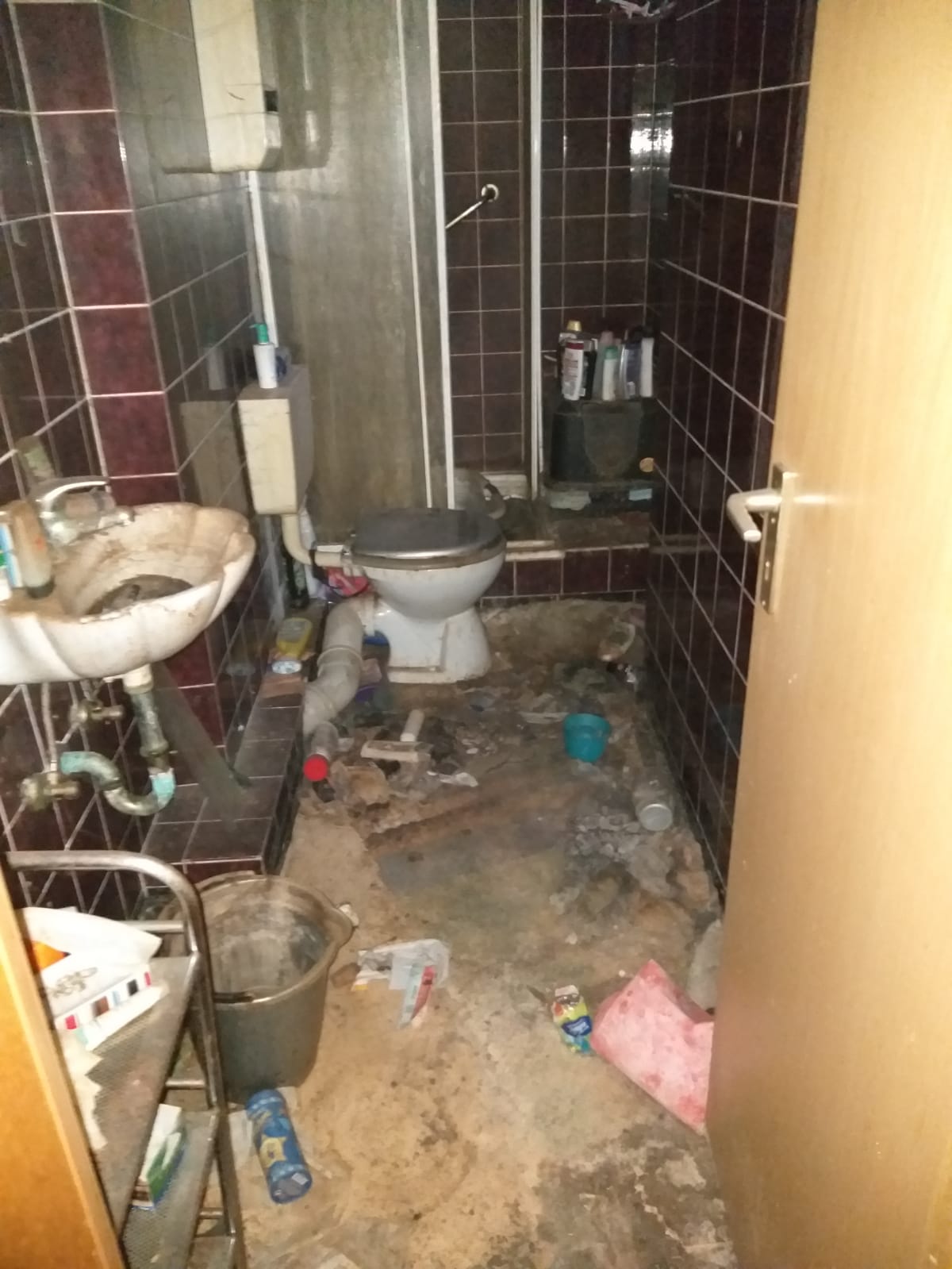 Entrümpelung einer Messi-Wohnung - Fachmann für Entrümpelung Entrümpelung einer Messi-Wohnung - Fachmann für Entrümpelung