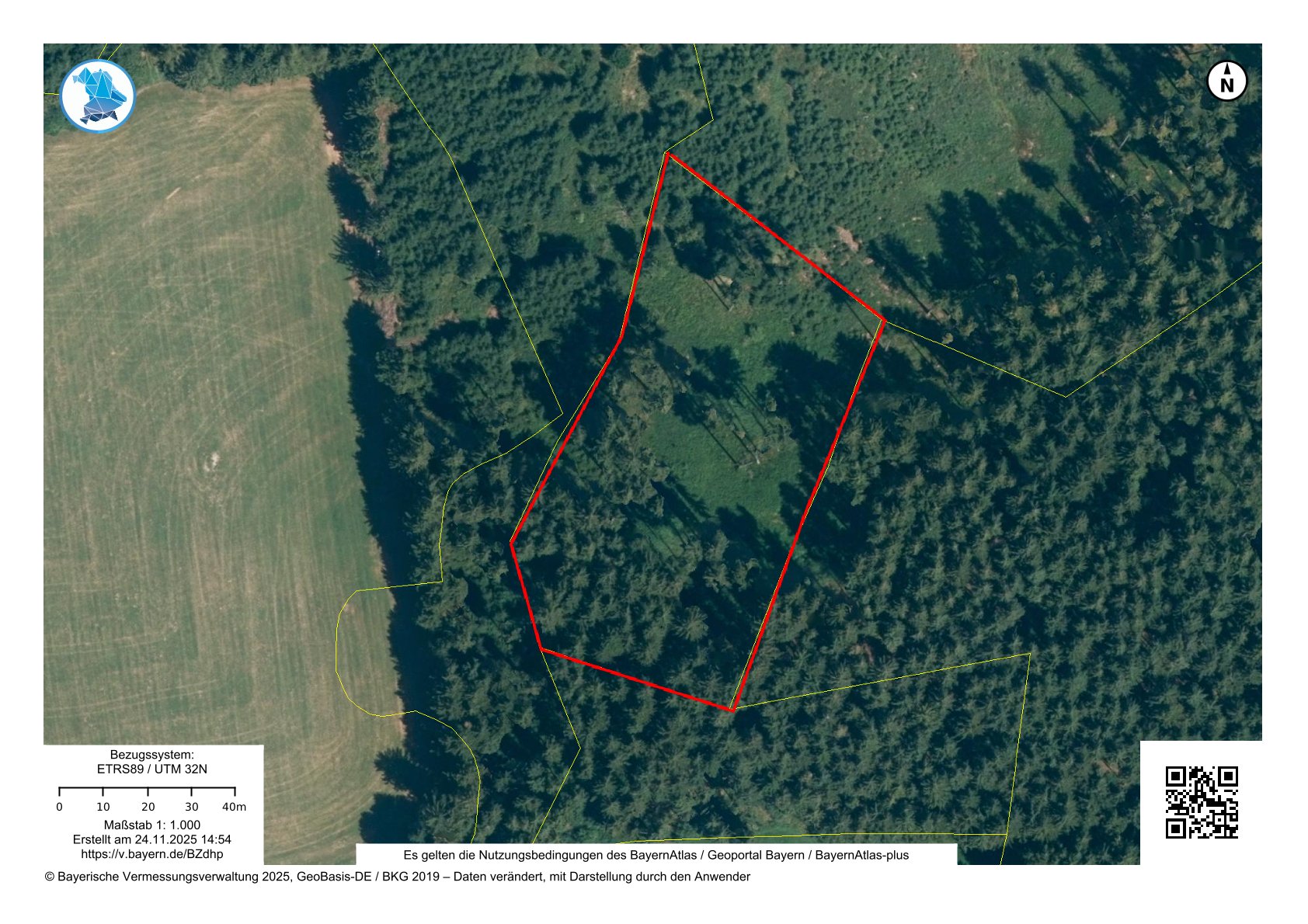 Wald 120-3