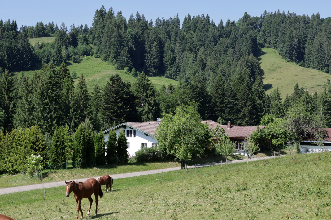 Ansicht weit
