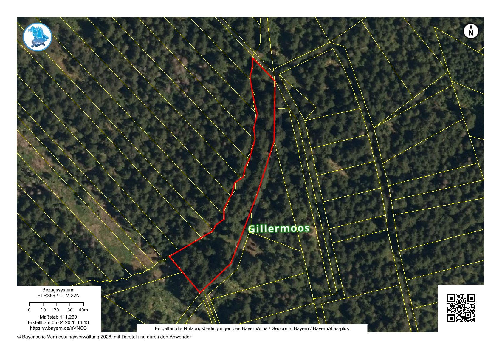 Wald 120-4