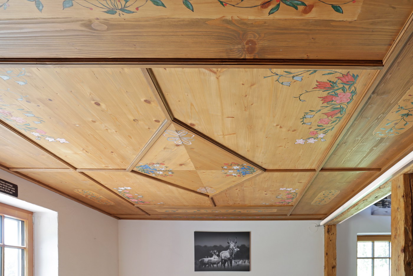 verschiedene Deckeneinbauten