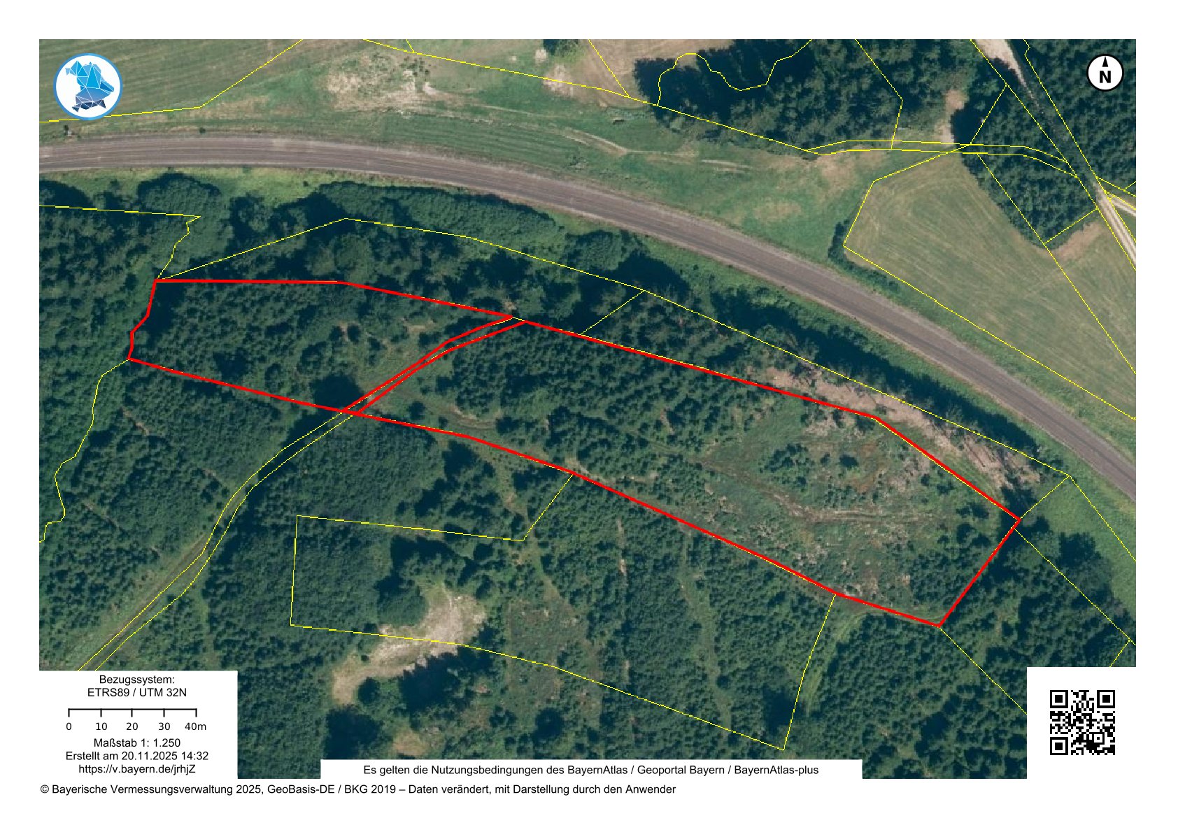 Wald 120-2