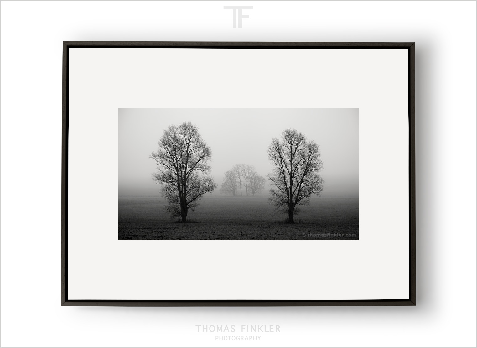 Gallery Monochrome | Trees and Landscape - Thomas Finkler Photography