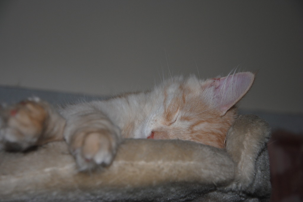 come si dorme bene a Lovere!