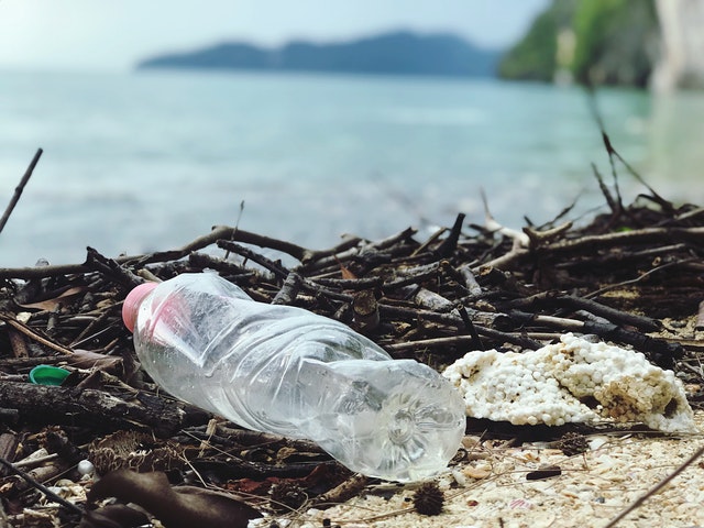 Les bouteilles en plastique jetées par les touristes constituent un grand problème au niveau écologique. 
