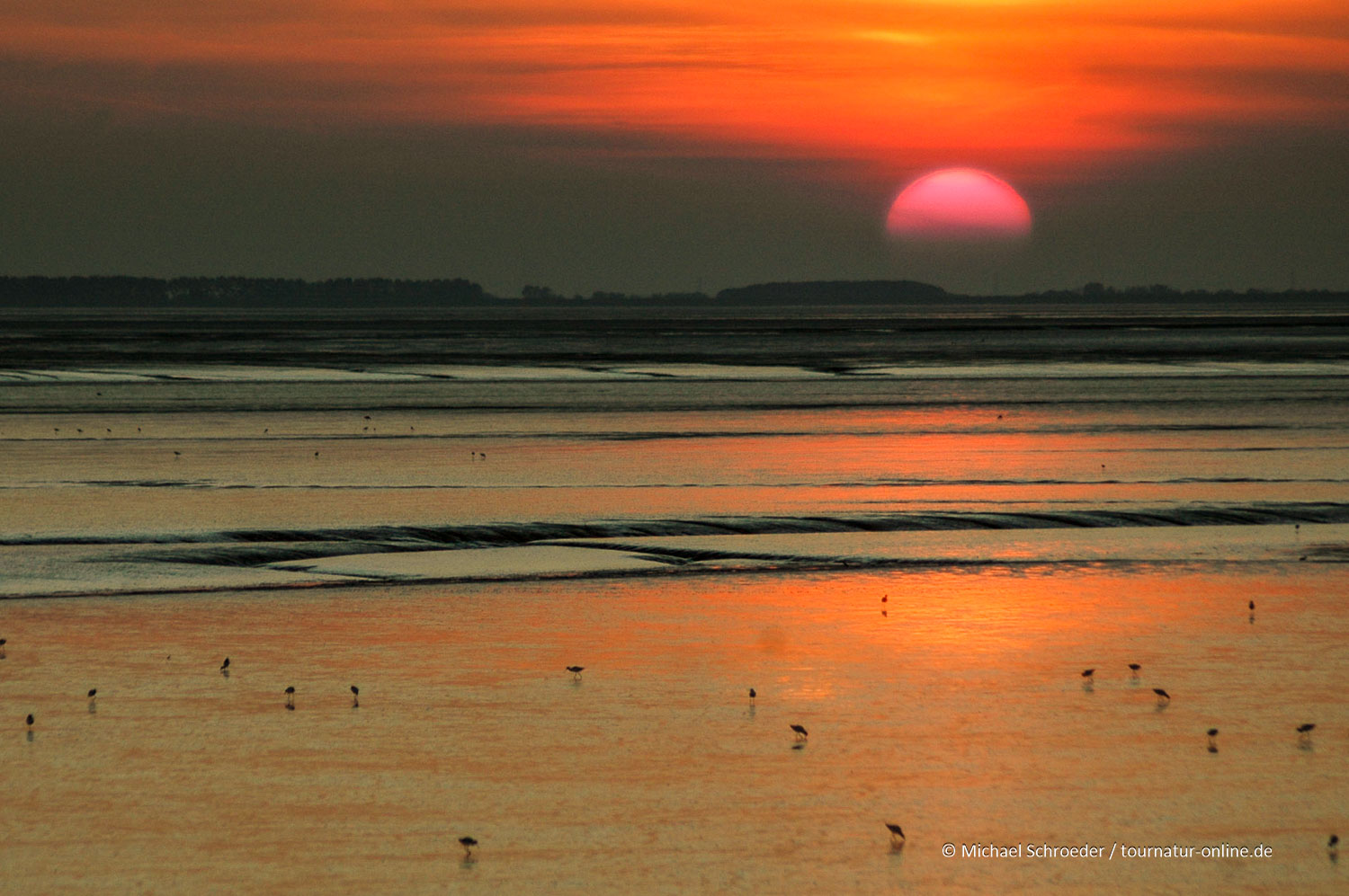 Köge und das Wattenmeer in Schleswig-Holstein