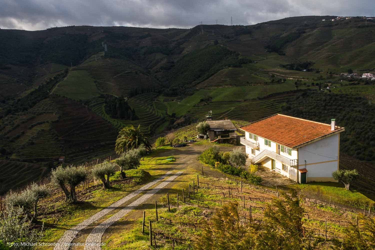 - Weinbauregion Alto Duoro und Parque Arqueológico do Vale do Côa